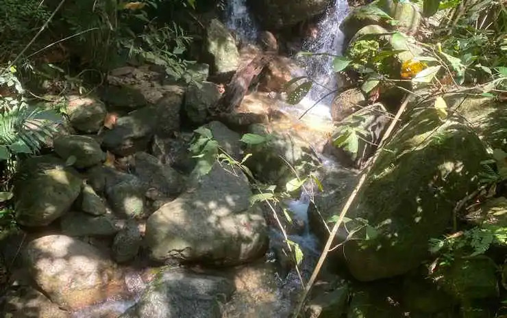 Gibbon Retreat Bentong