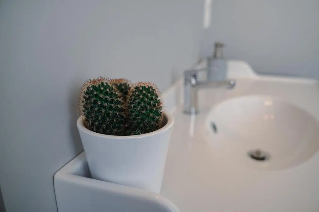 Les 3 Bérets chambres dhotes