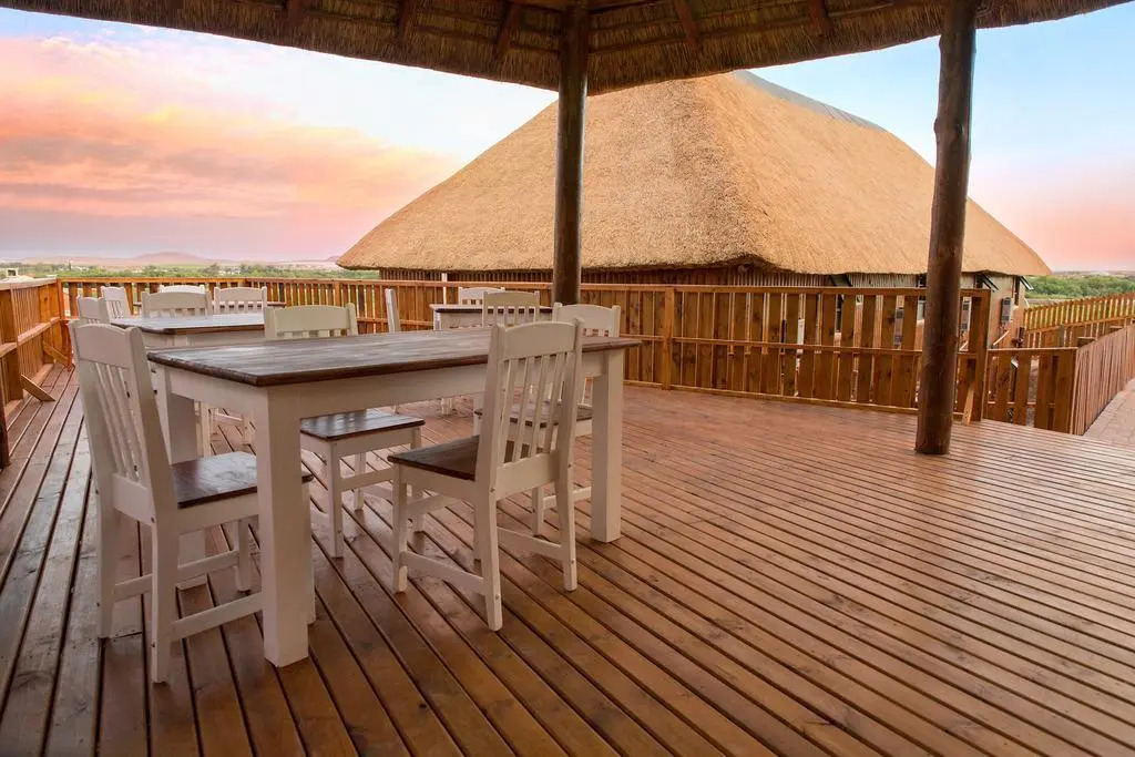 Kalahari Lions Rest
