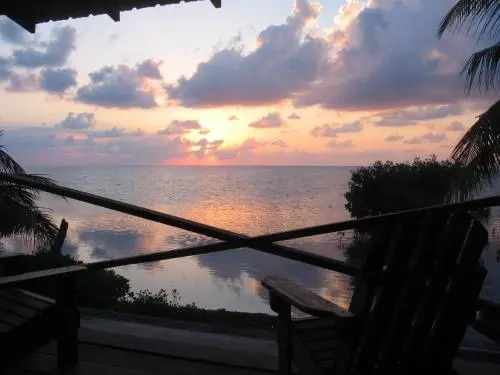 coconut grove