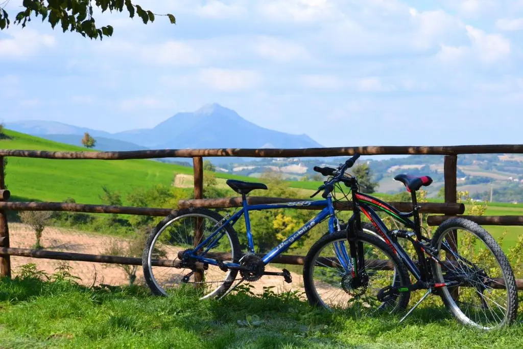 Bed and Breakfast La Cerasa