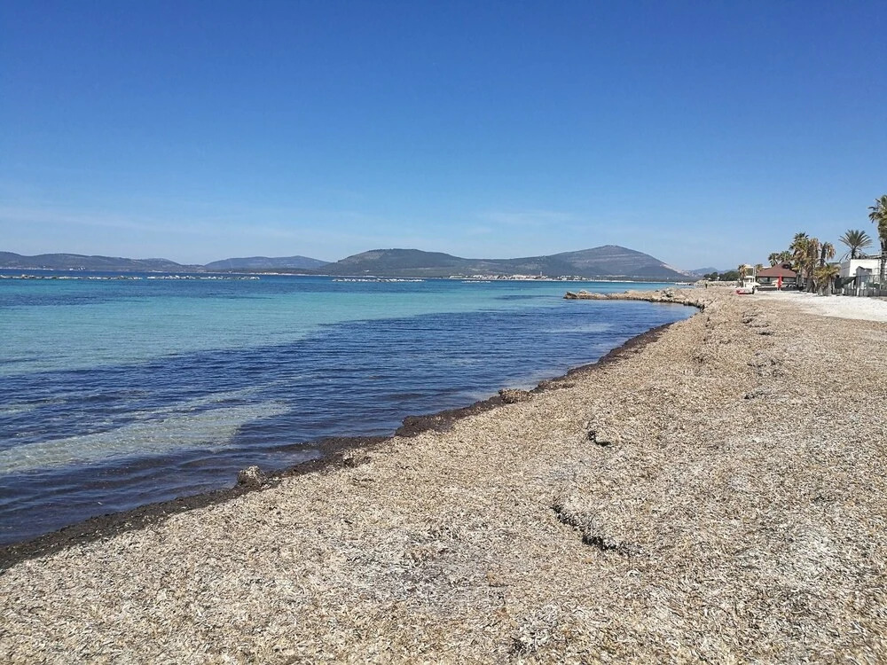 Apartment With 2 Bedrooms in Alghero, With Furnished Balcony and Wifi