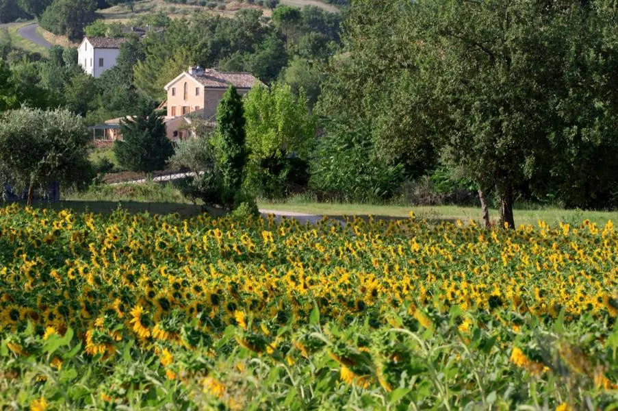 Agriturismo Agra Mater