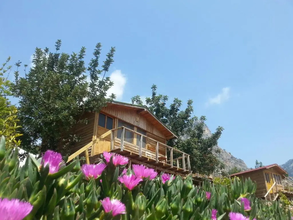 Olive Garden Kabak