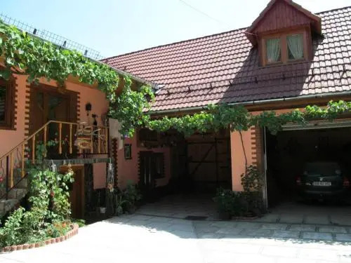 Casa de vacanta Vidrighin