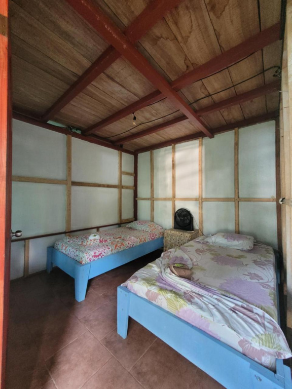 Life for Life Hostel Lodge Drake Bay Home of Sea Turtle Marine Conservation Project Osa Peninsula near San Josecito Beach