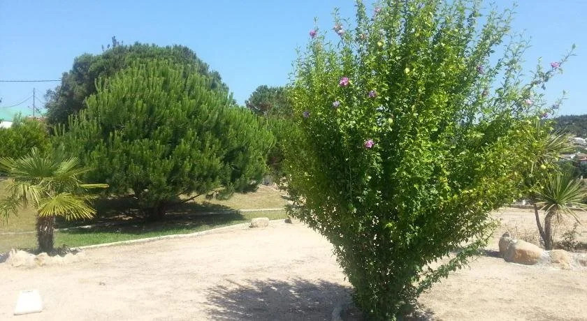Hostal Los Pinares