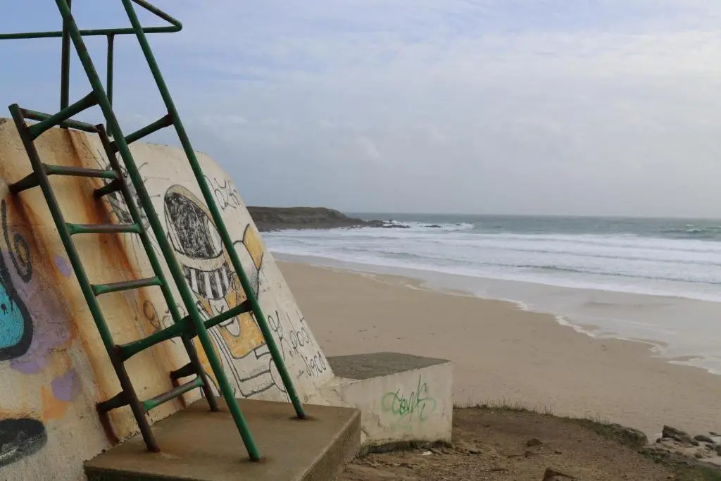 Ty Point Break 29