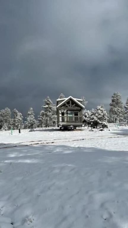 Luxury Cabin with Mountain View 4A