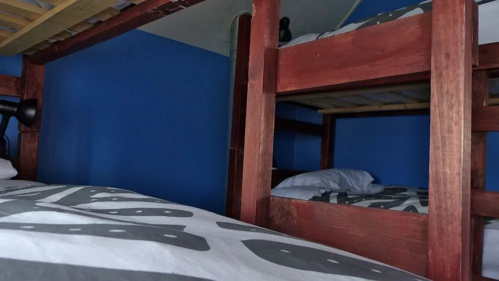 Maytenus bed and breakfast - Hostel