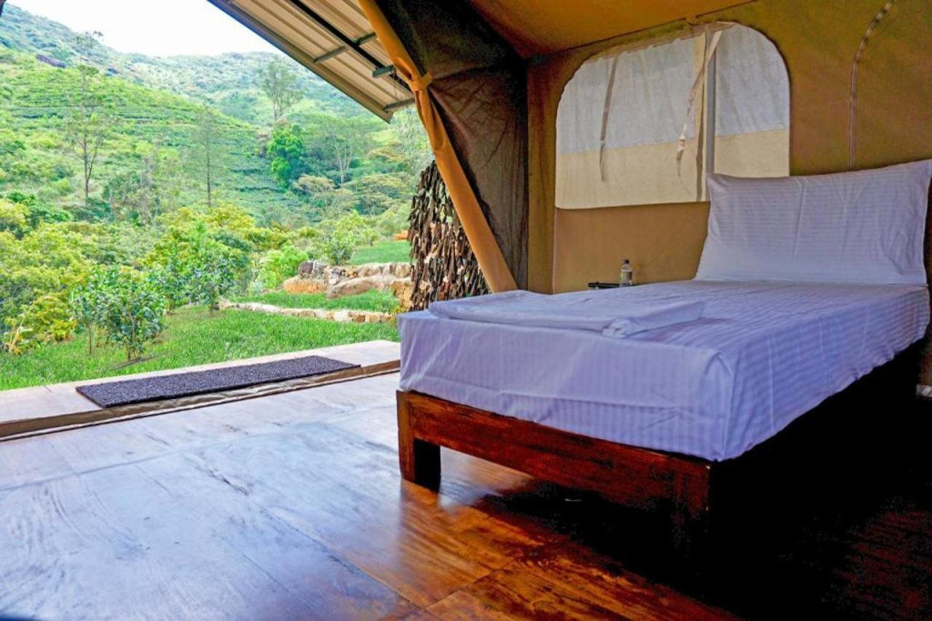 Wild Glamping Knuckles