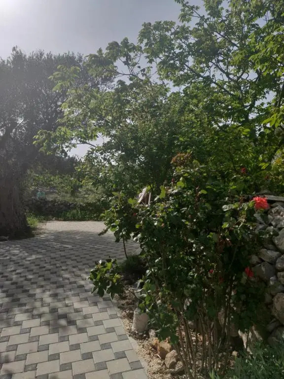 Guest house Maslina