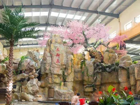 Shuishi Forest Hot Spring Resort