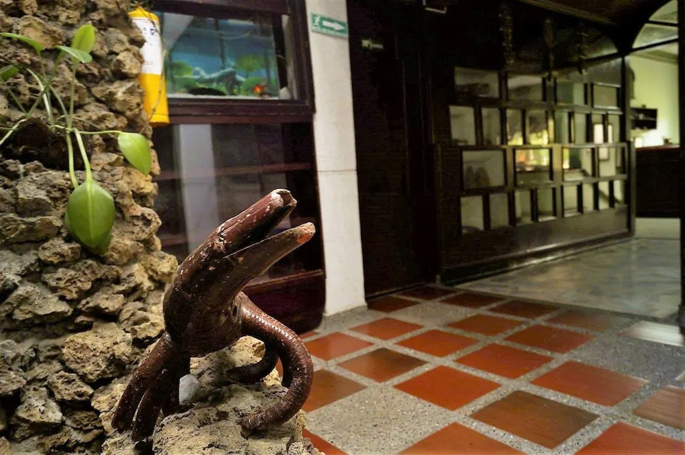 Hotel Del Parque