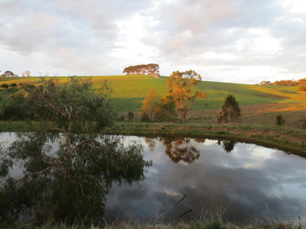 Walnut Cottage via Leongatha