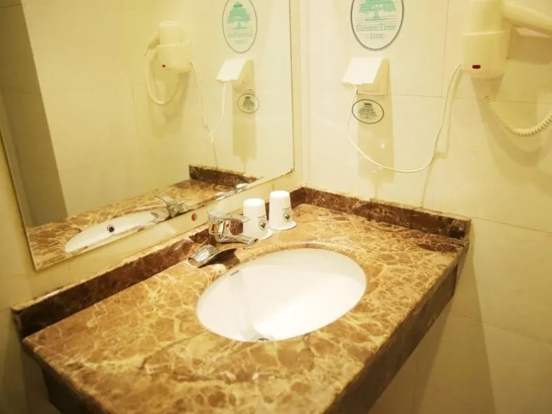 GreenTree Inn (Guiyang Xiaoshizi)