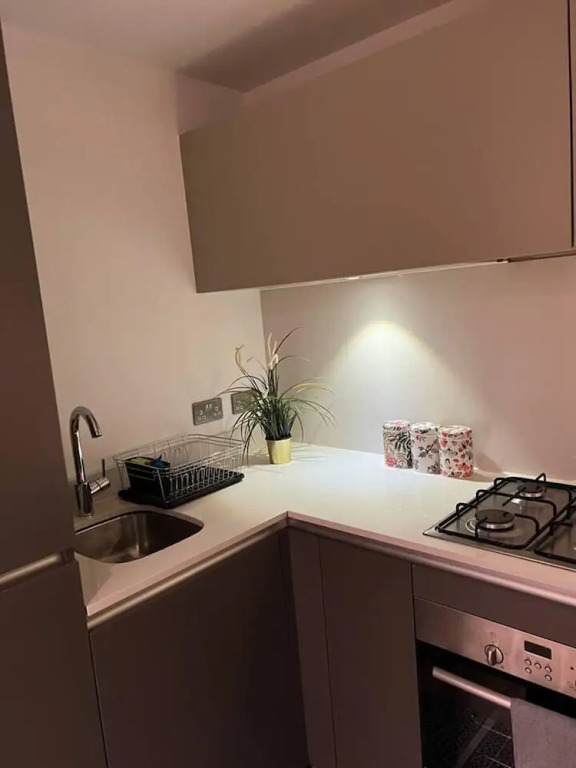 Modern 1 Bed Flat Near Station and City