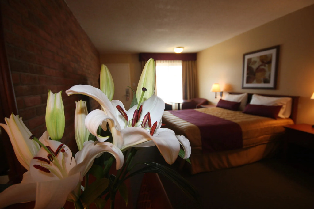 Motel Adam