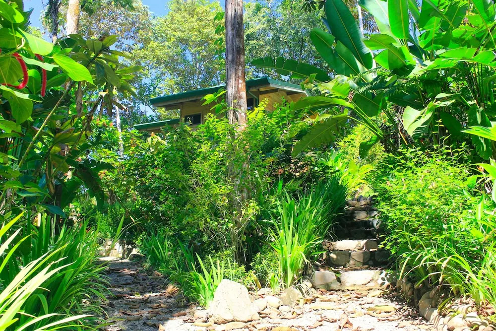Forest Lodge