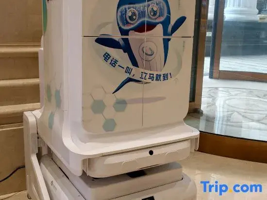 Vienna Hotel (Wuhan Tianhe Airport Penglongcheng Ju Long Avenue Branch)