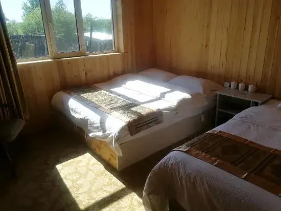 Dream in Hostel