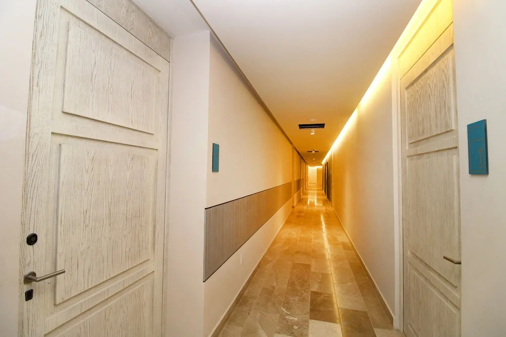 Singular Dream by Spot Rentals