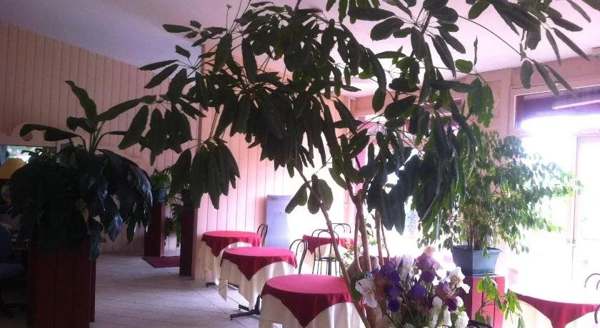 Hôtel La Plantation