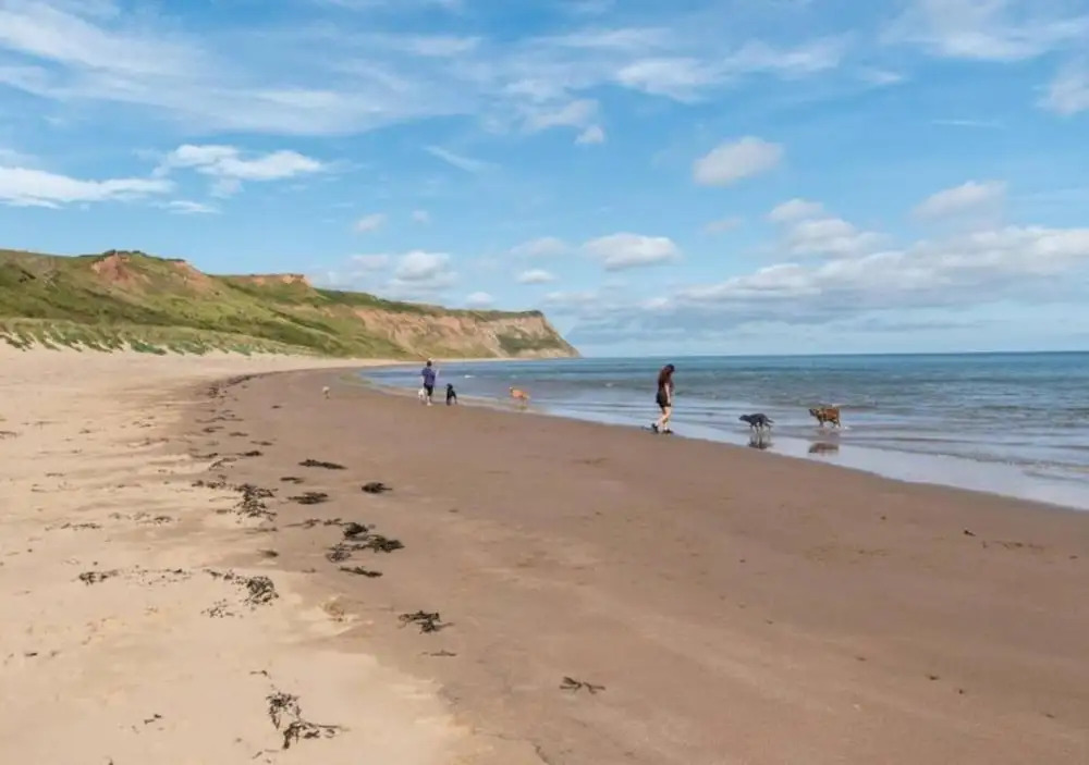 Apartments in Skinningrove, Cattersty Sands Beach