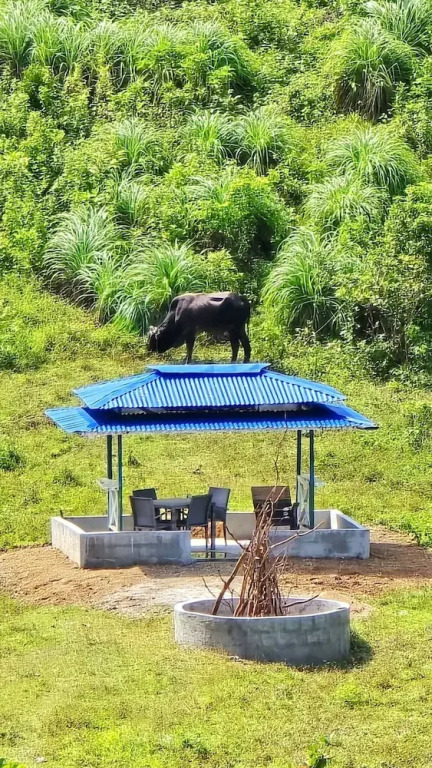 Isla Echague