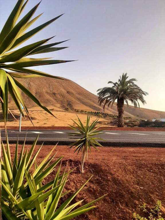 Costa Teguise II
