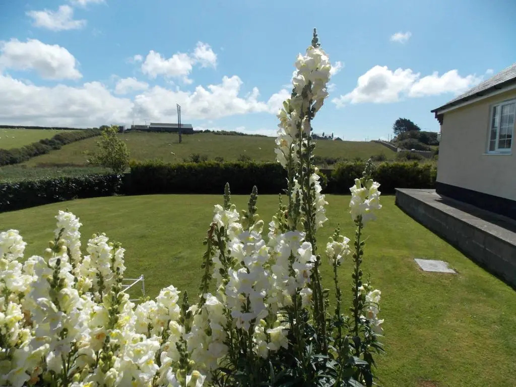 Craig Eithin B & B Holyhead