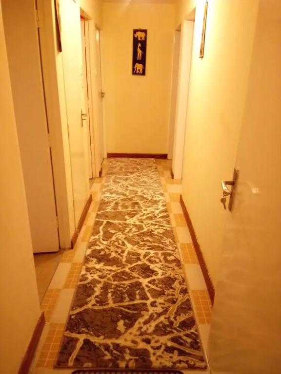 Exquisite Airport Apartment