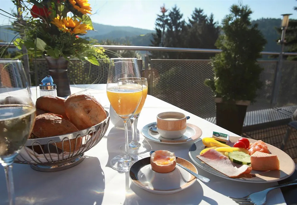 Hotel Am Hirschhorn - Wellness - Spa - and more