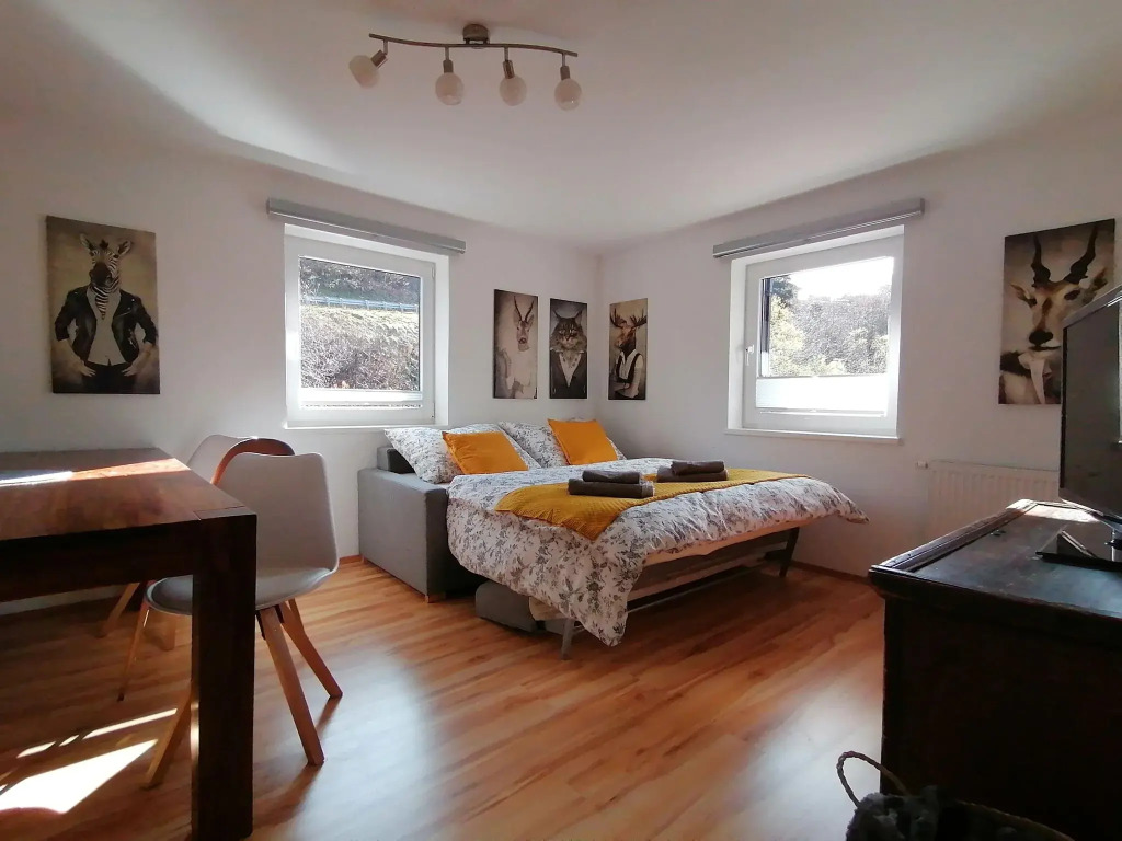 Cosy Apartment in Dienten with mountain view