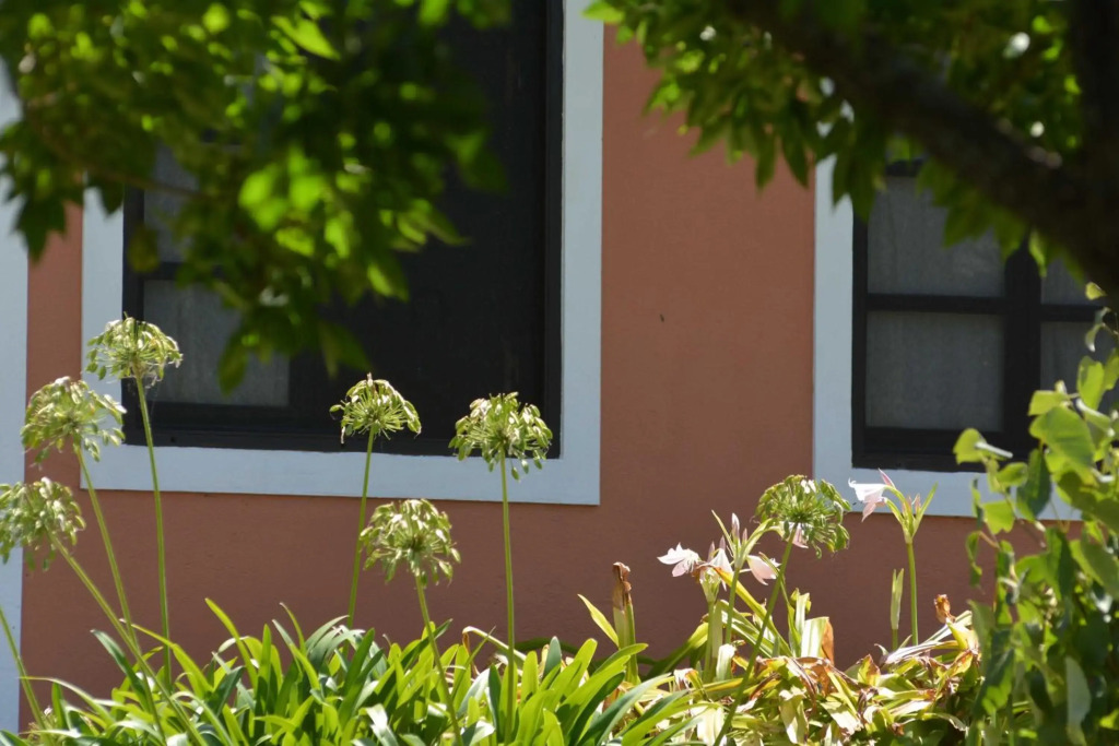 La Monturera, Loft de campo