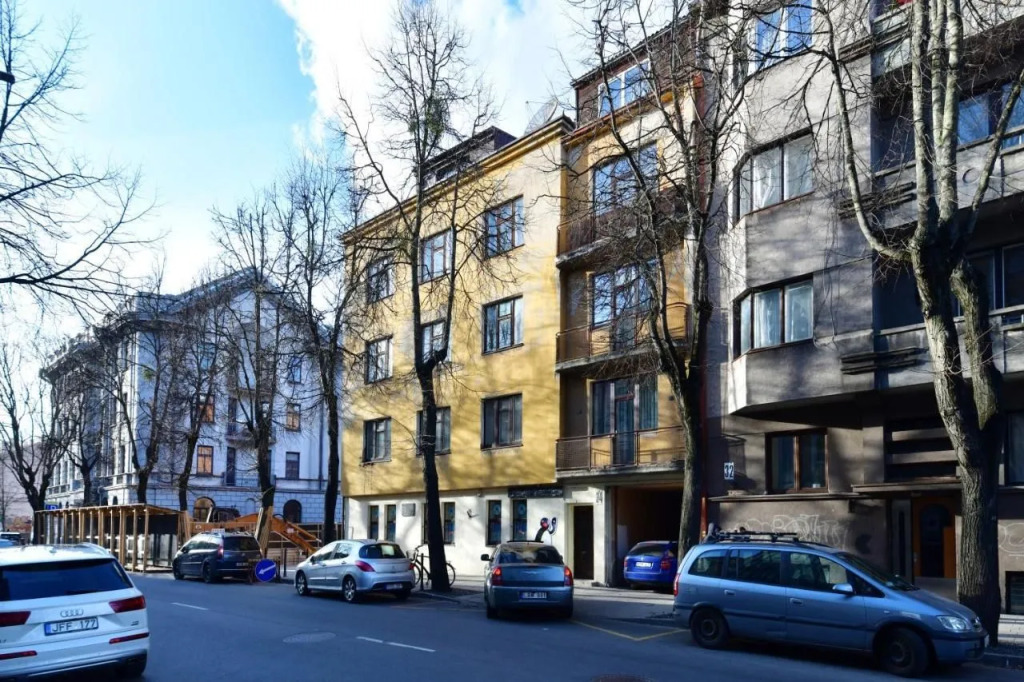 Luxury Central Apartment in Putvinskio street