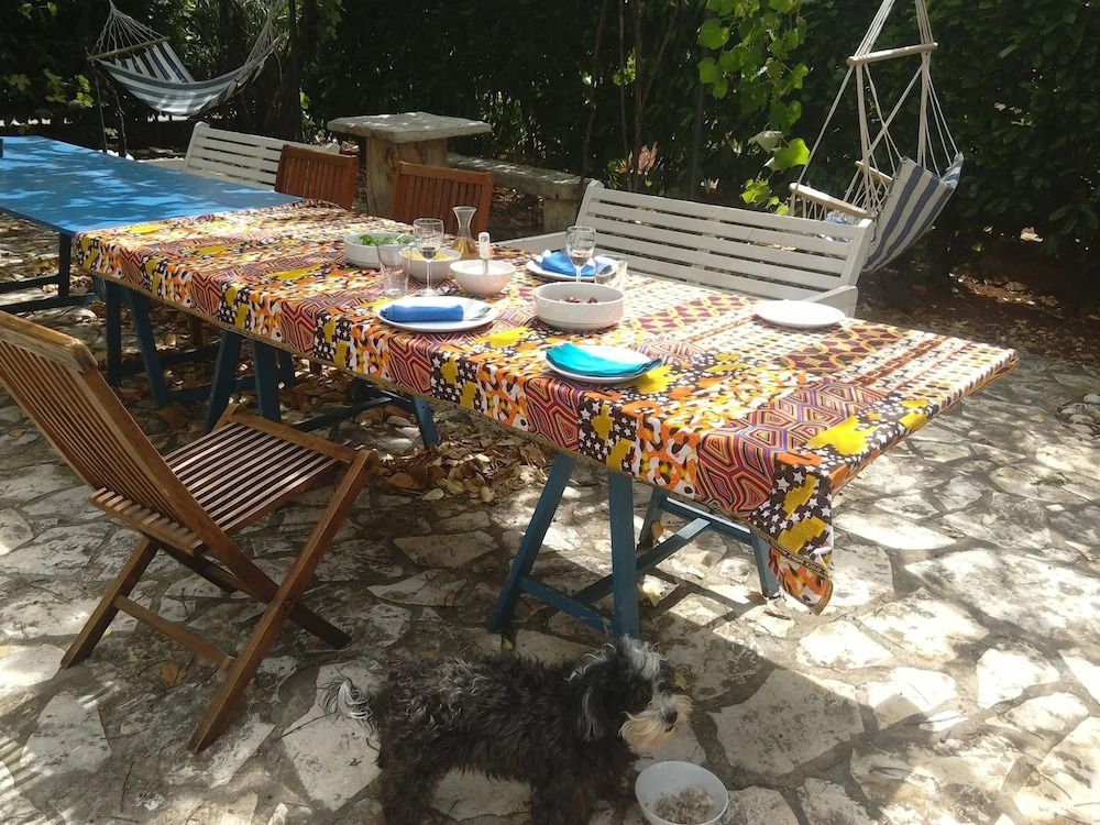 Apartments Ivas