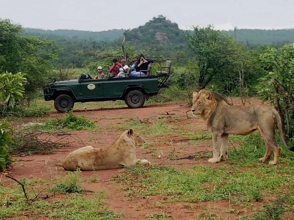 Lions Place
