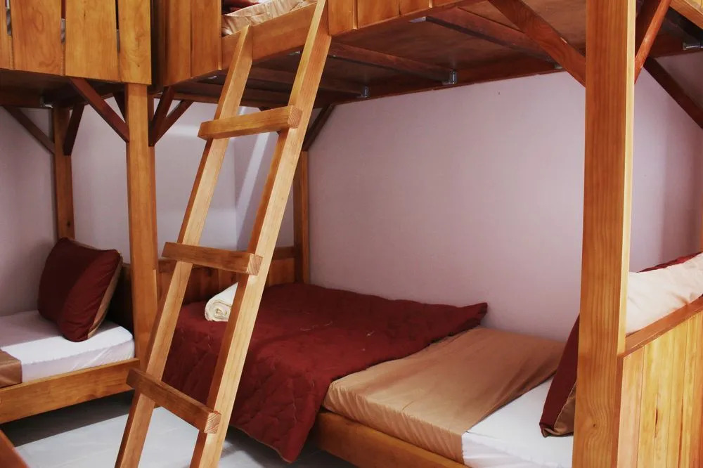 Tree House Hostel