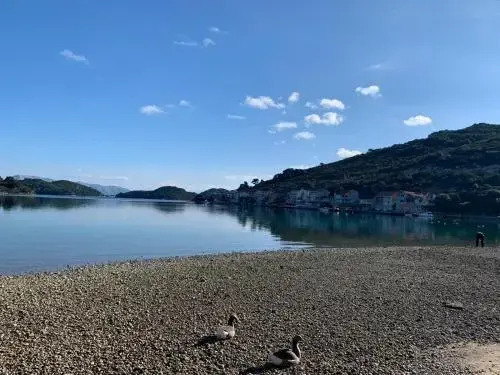Apartmani Dabelic Durica Mljet