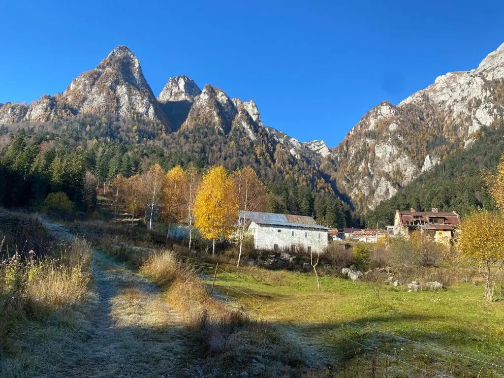 Vila Busteni DORA, locatie superba strada Grivitei 36