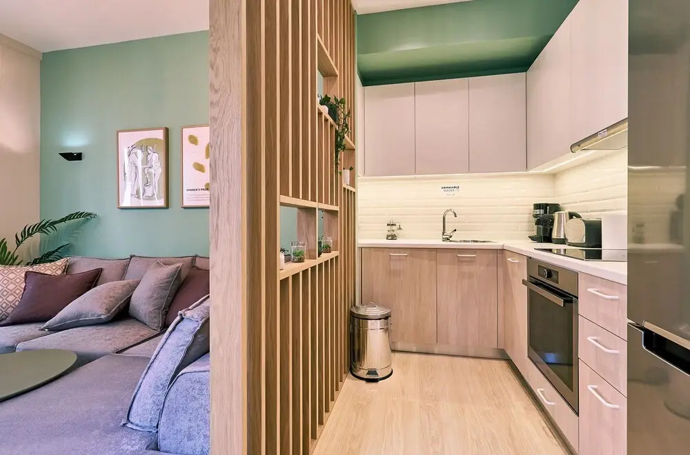 Olympic Spirit Apt in N. Kosmos