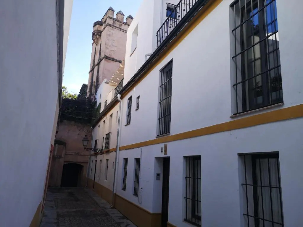 The Wall of the Alcázar Palace