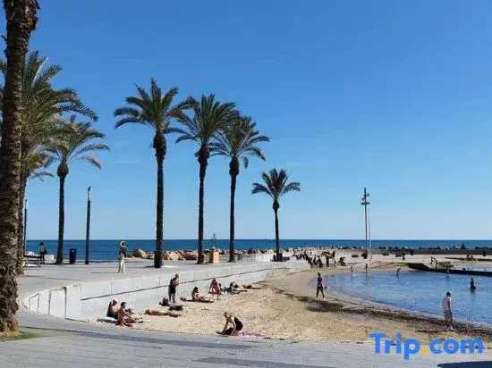 Seaview Torrevieja Centre Beach