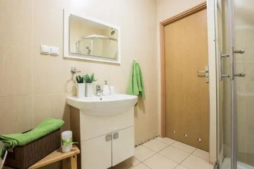 Apart-Styl Apartamenty Zakopane- Brzozowa, Centrum miasta