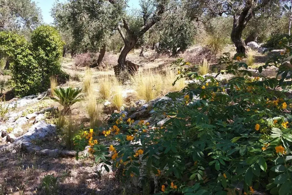 Il giardino di Mary