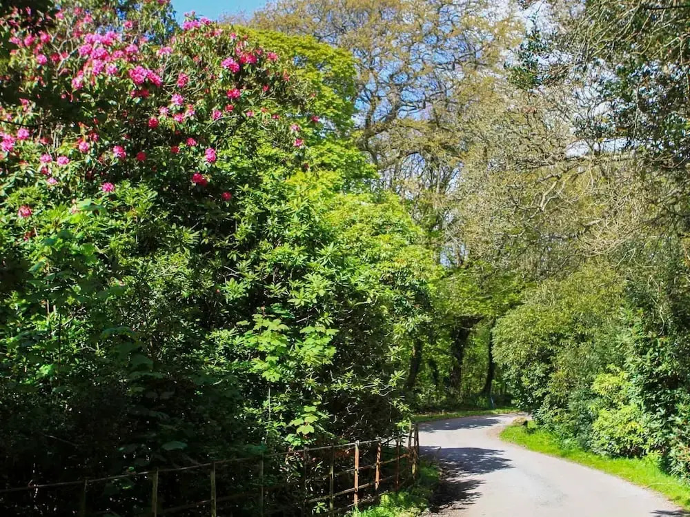 Bodior Garden Cottage