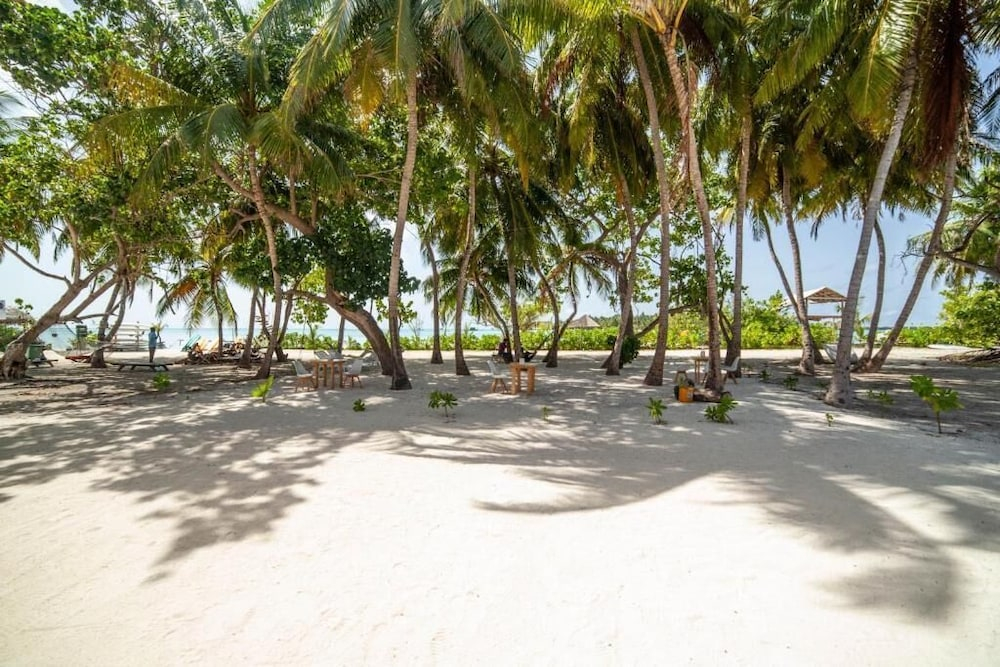 Portia Hotel & Spa - Beachfront