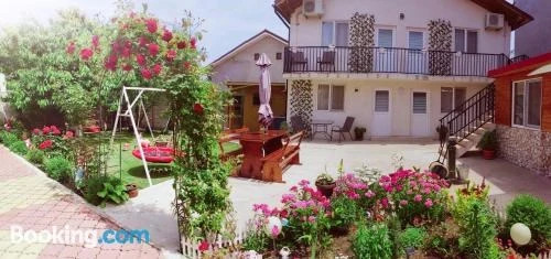 Casa Georgeta 2 Mai-Punct Gastronomic Local-AROME DOBROGENE