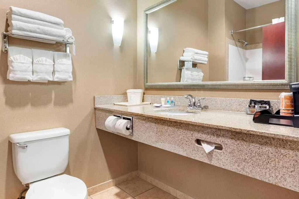 Comfort Suites Palestine